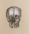 thomas werk calva